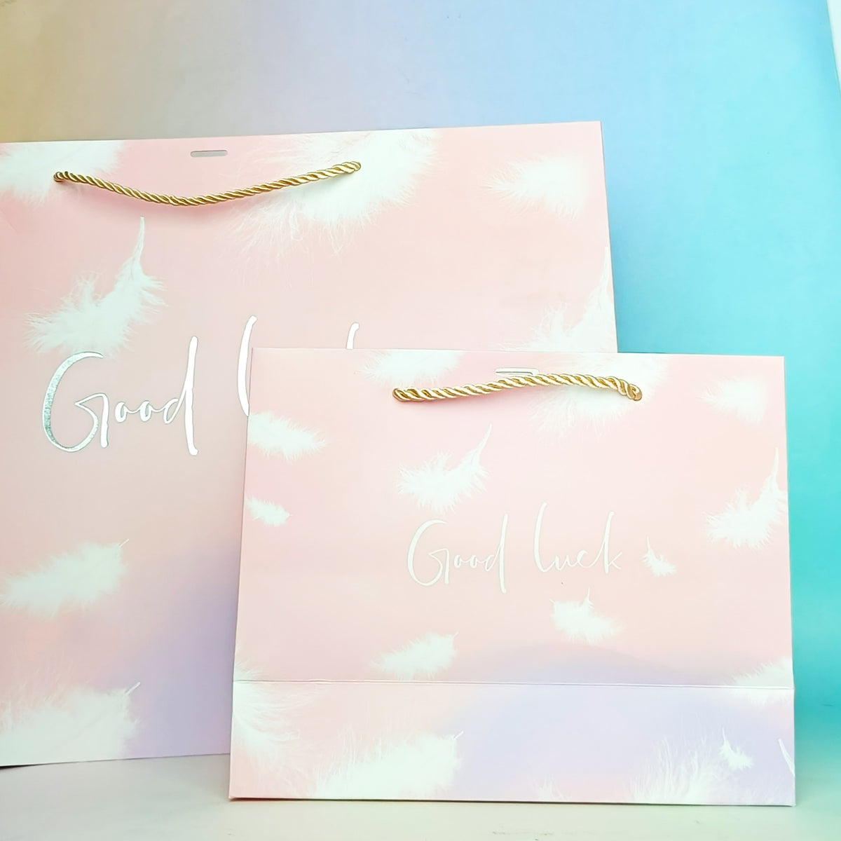 Good Luck Feather Silver Foil - Gift Bag Style 4