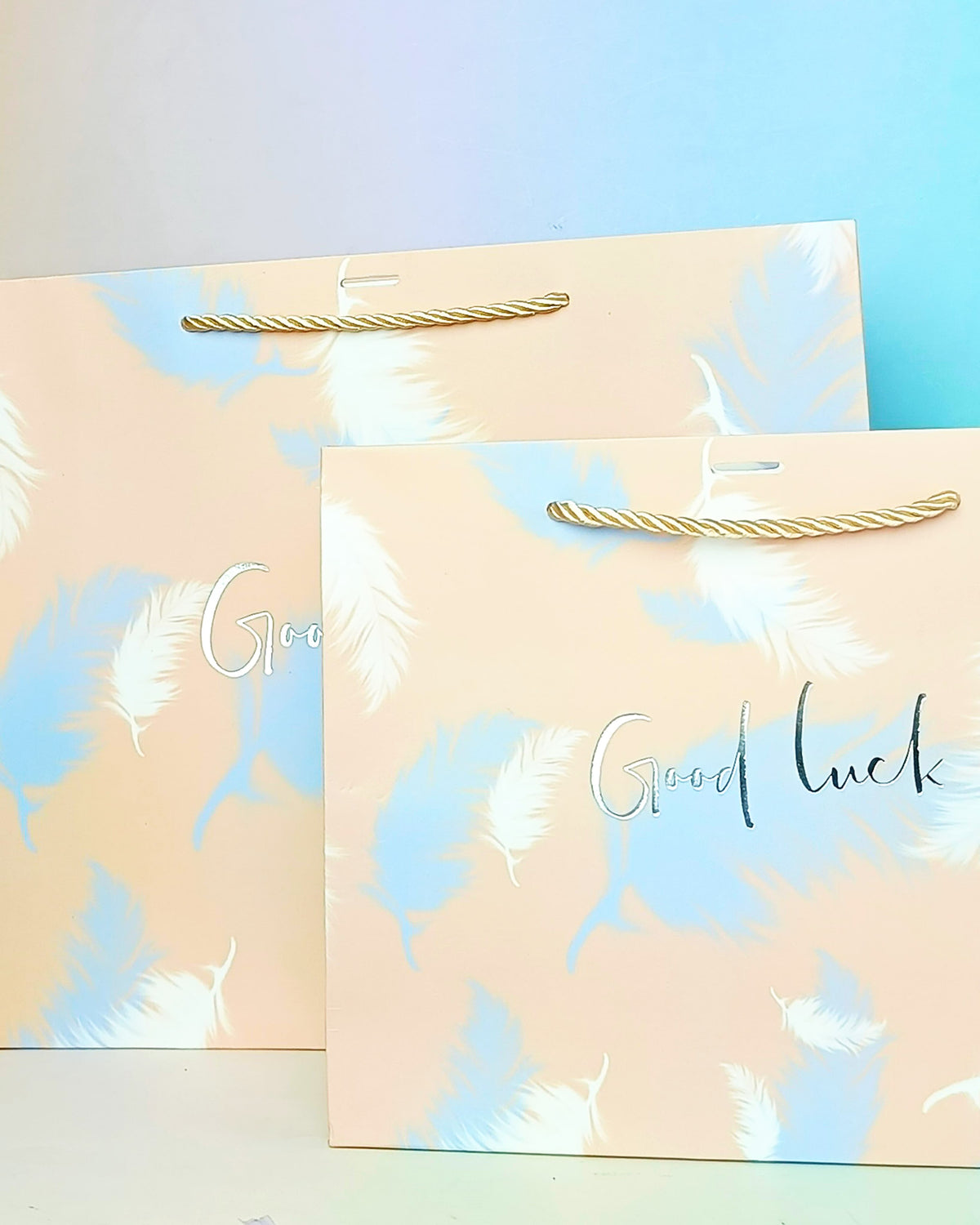 Good Luck Feather Silver Foil - Gift Bag Style 2