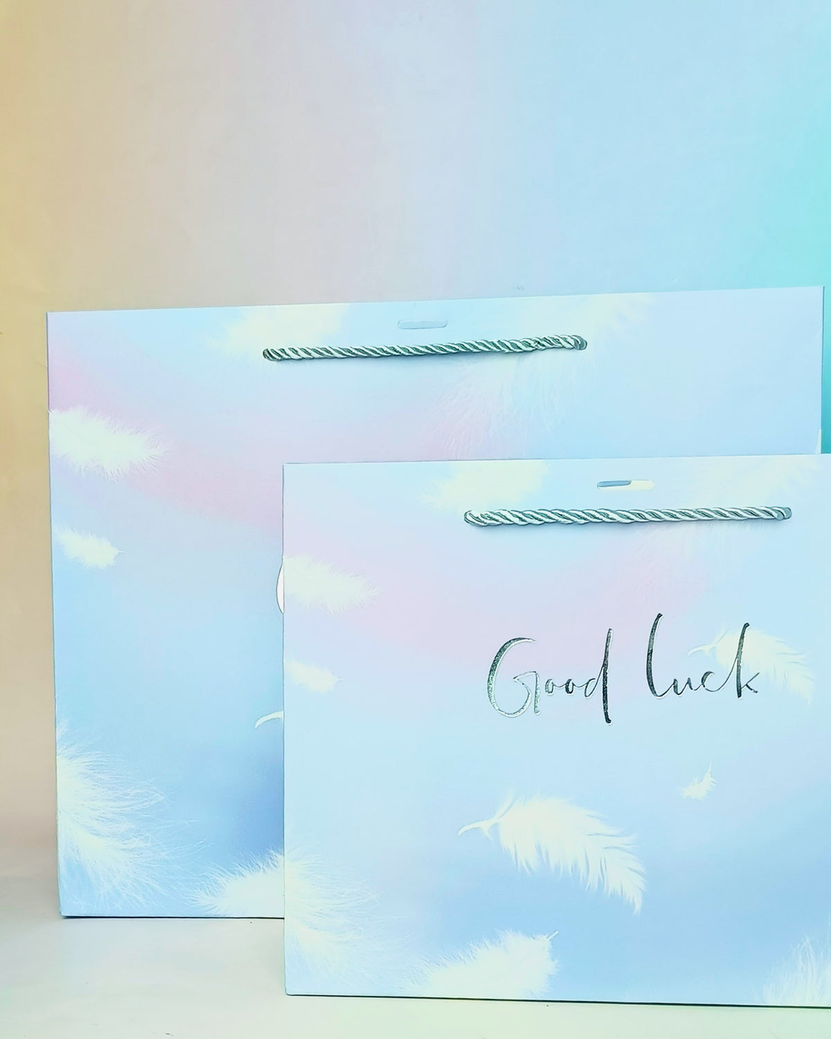 Good Luck Feather Silver Foil - Gift Bag Style 1