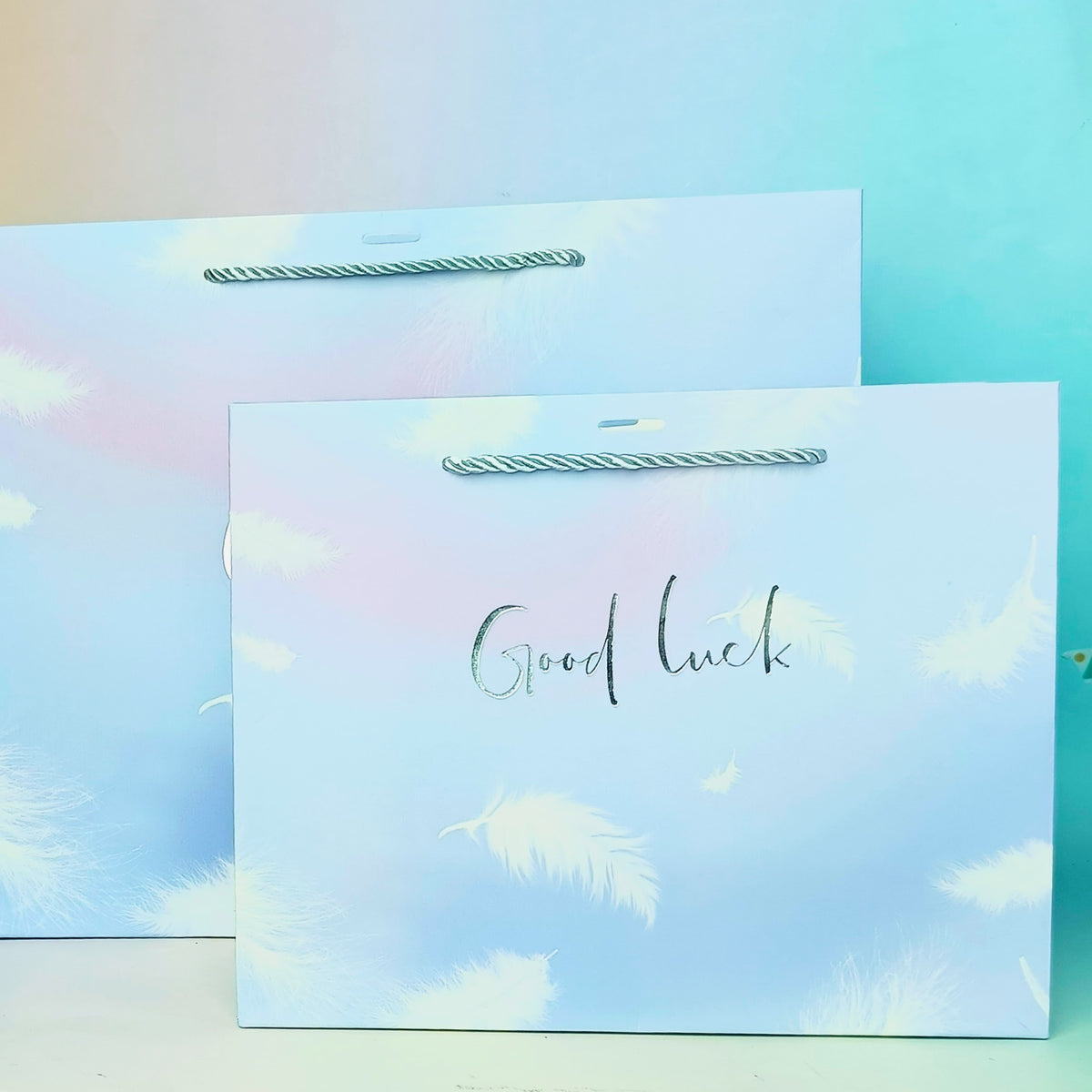Good Luck Feather Silver Foil - Gift Bag Style 1