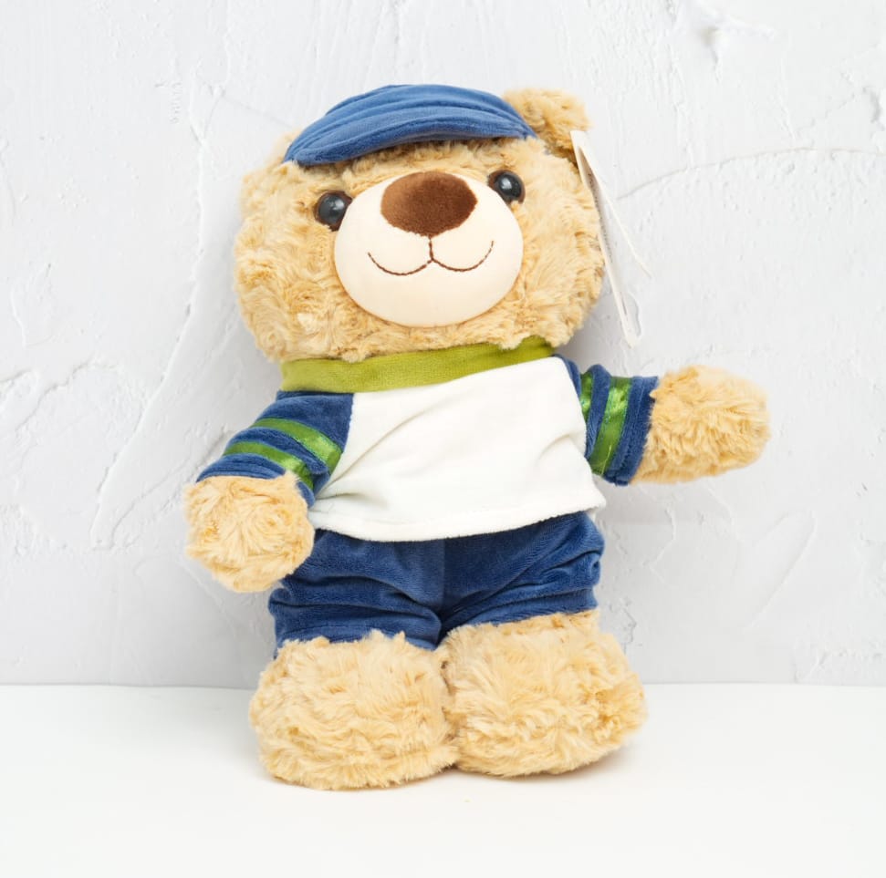 Teddy Bear - Plushie Soft Toy – The Blingspot Studio