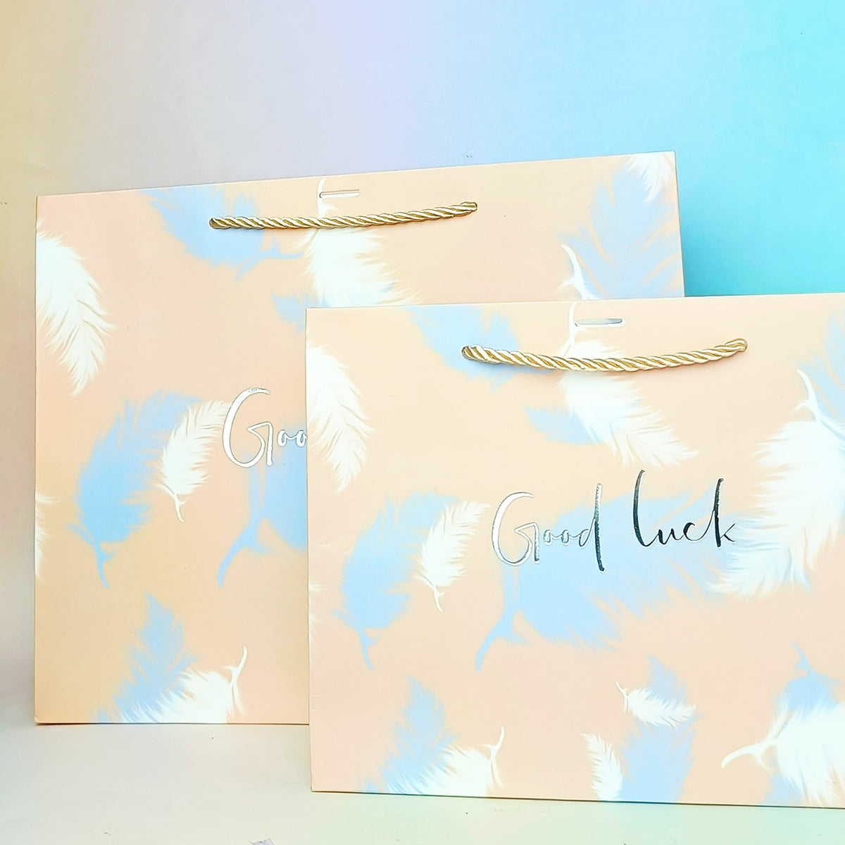 Good Luck Feather Silver Foil - Gift Bag Style 2