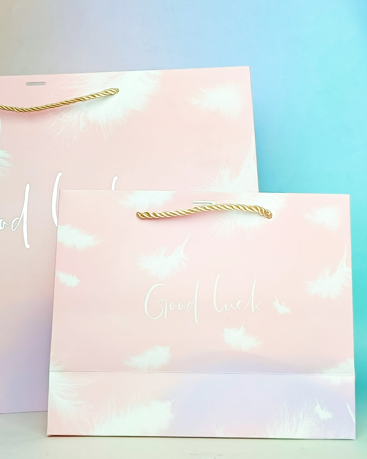 Good Luck Feather Silver Foil - Gift Bag Style 4