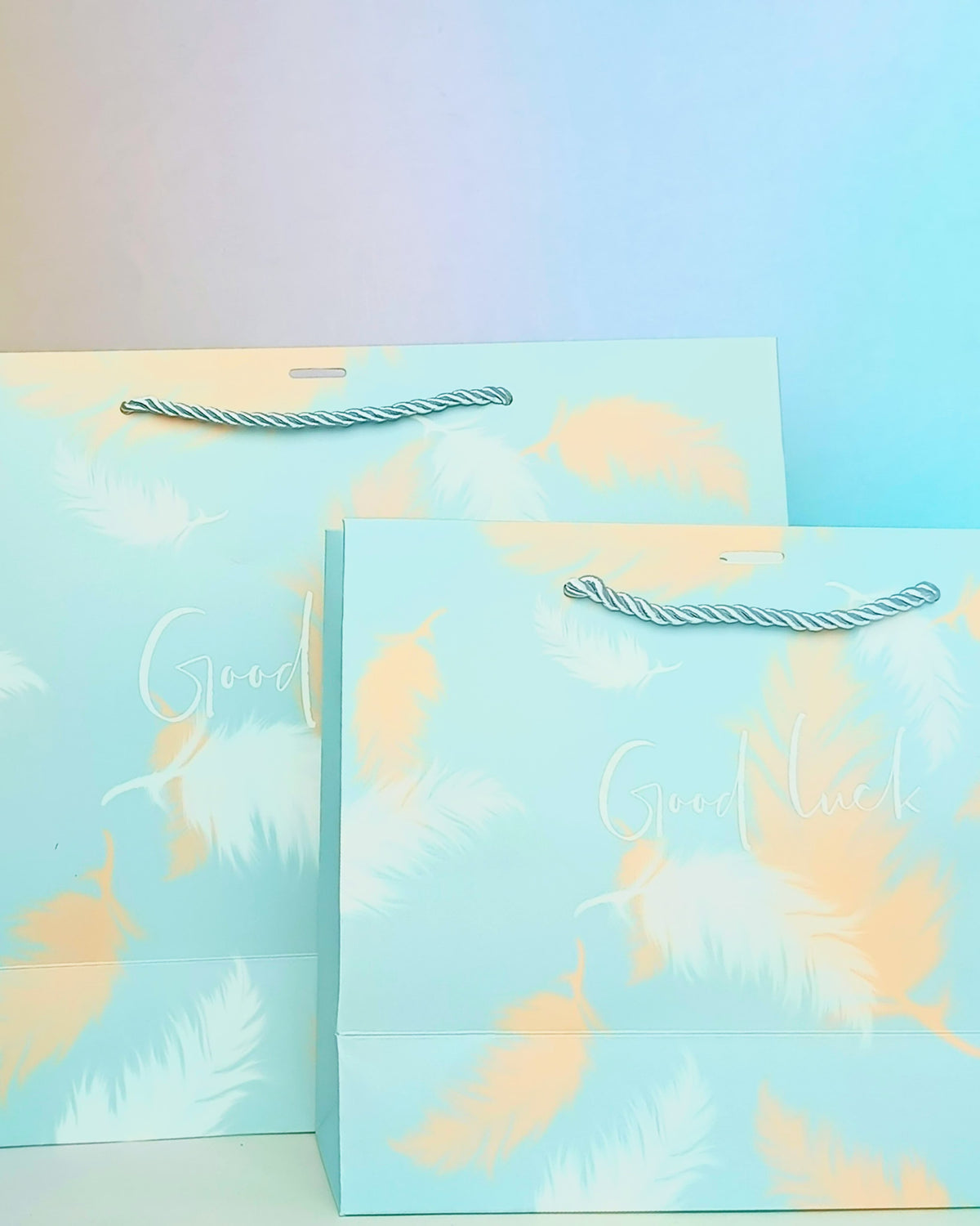 Good Luck Feather Silver Foil - Gift Bag Style 3