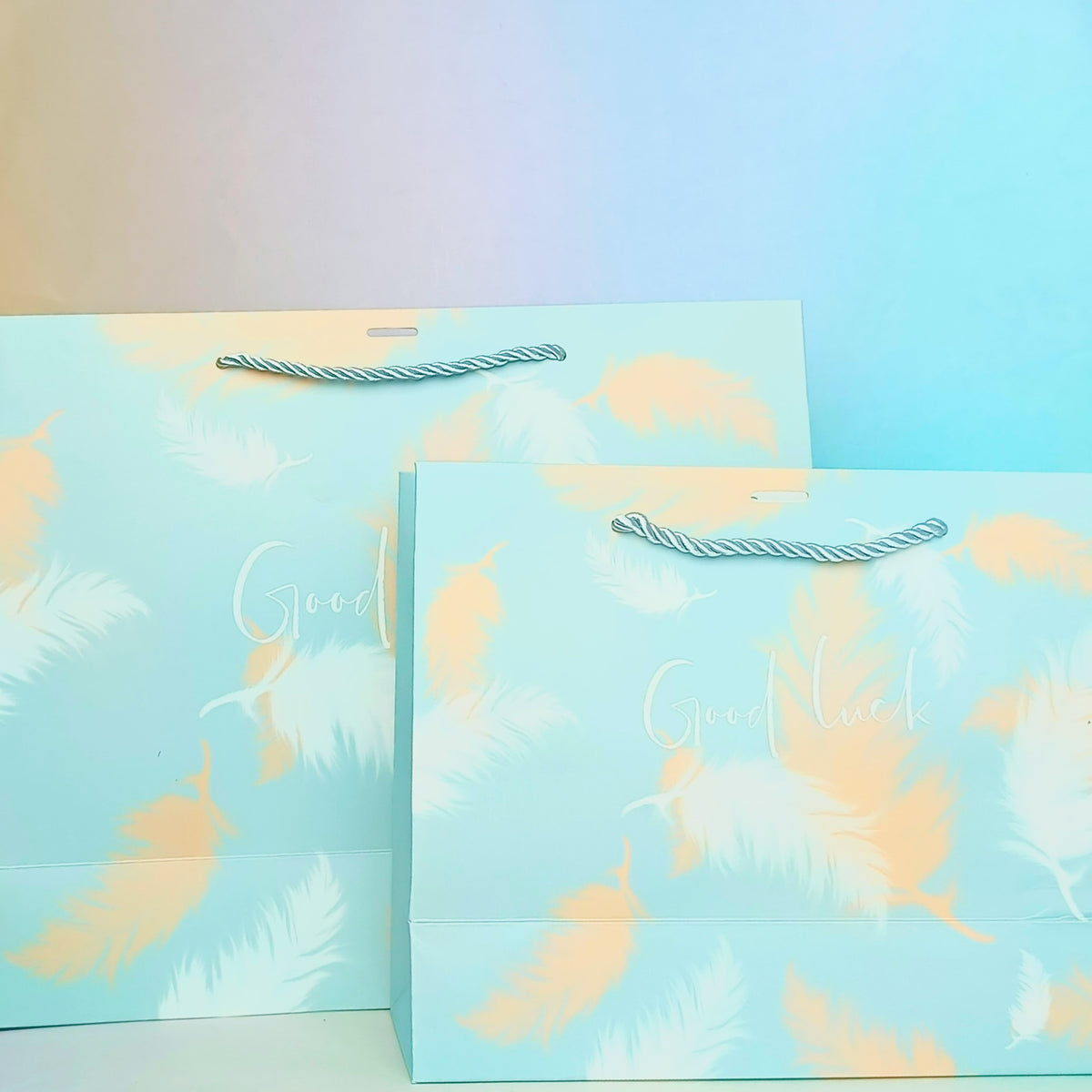 Good Luck Feather Silver Foil - Gift Bag Style 3