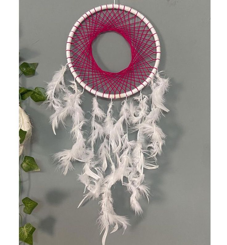 Frillback Pink - Dream Catcher