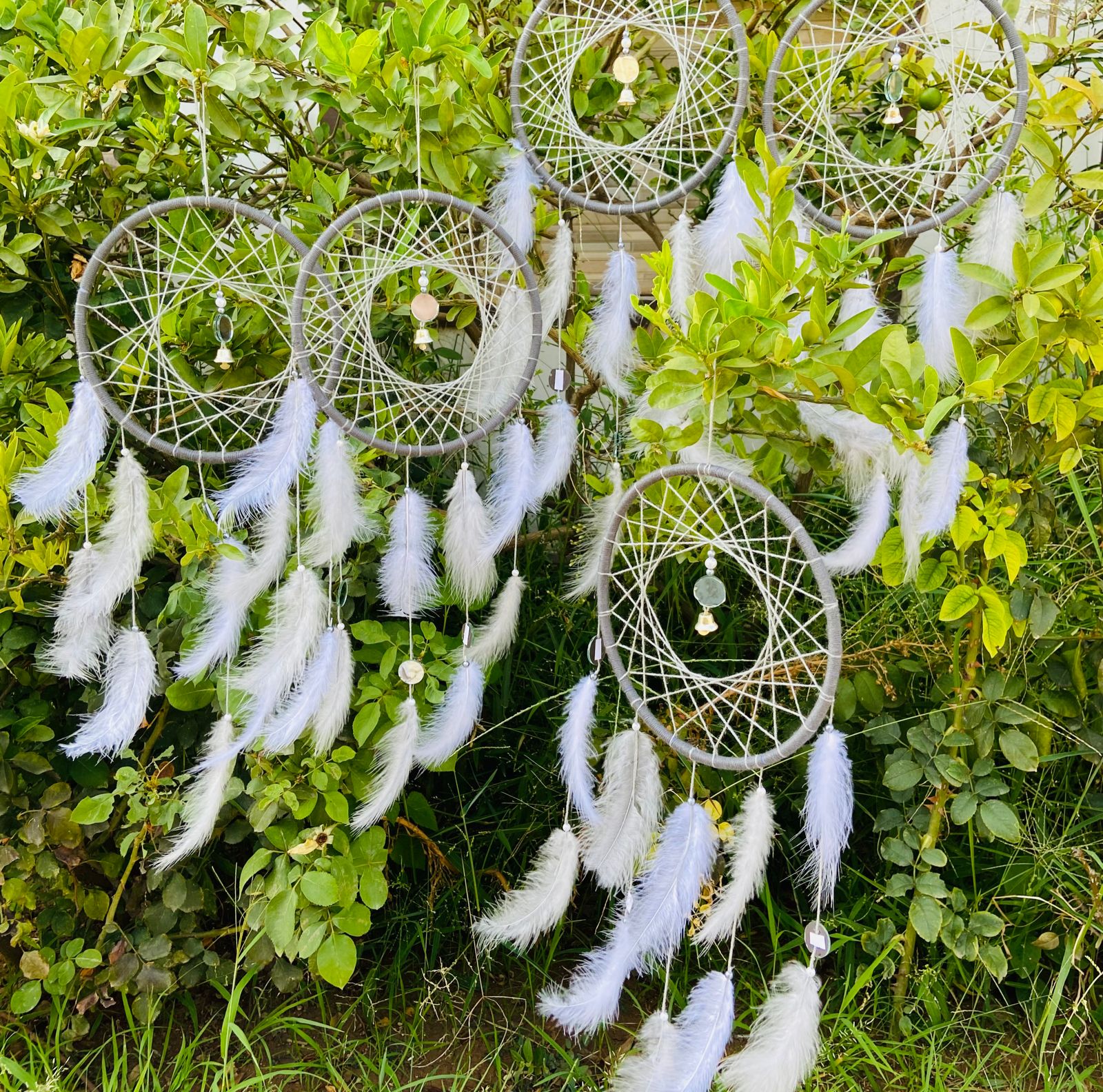 Gray fairy  - Dream Catcher