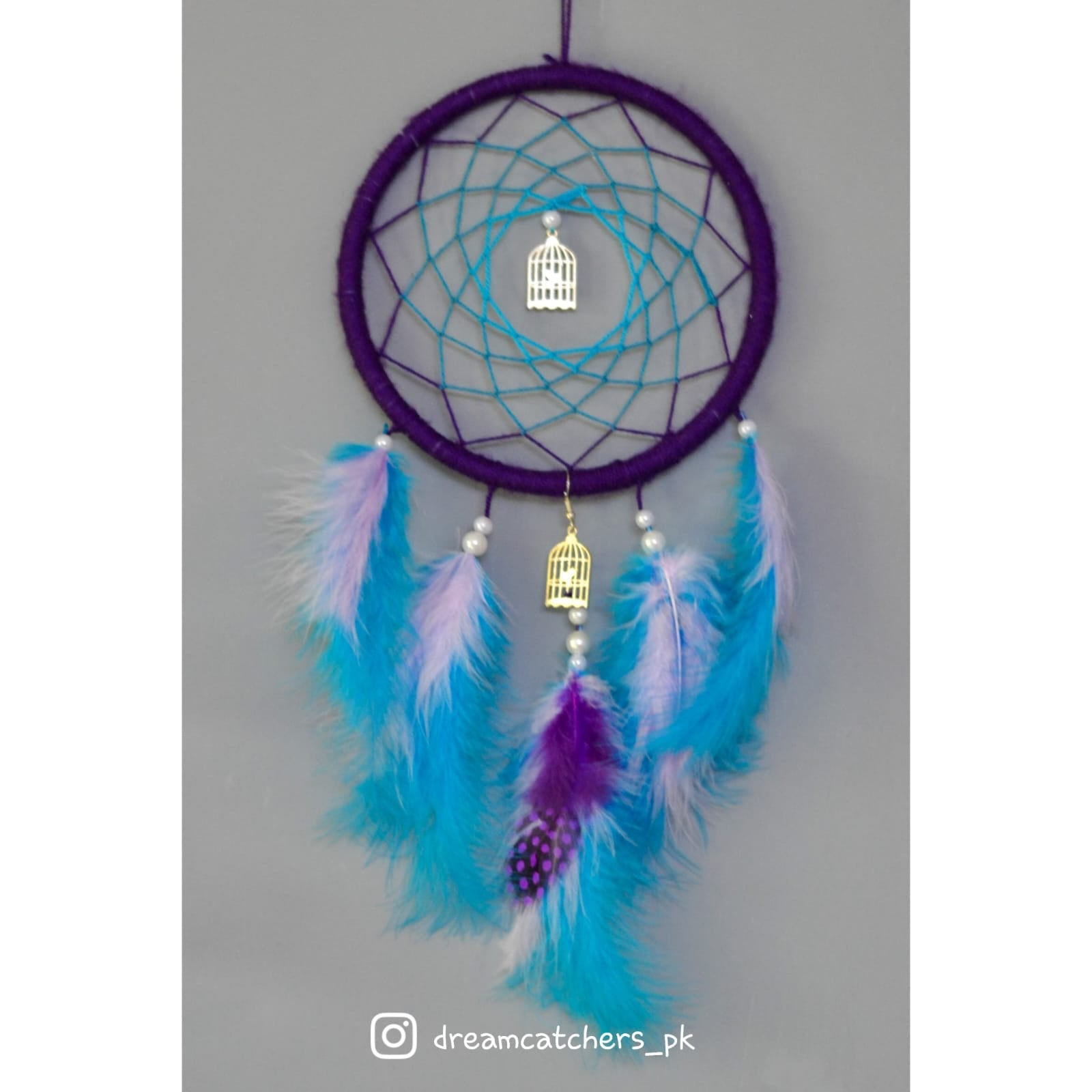 Cage Web Blue - Dream Catcher