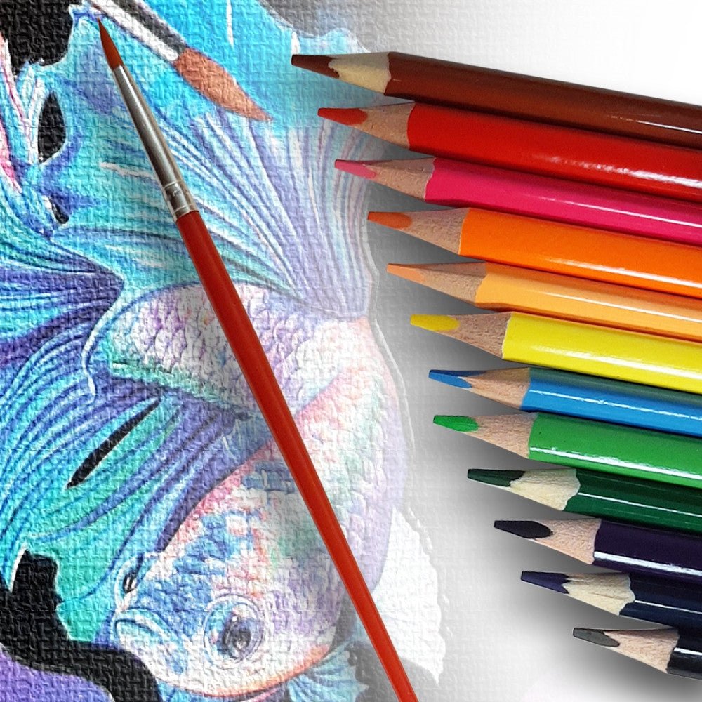 Yalong Watercolor Pencils Colors - Set Of 13 ( 12 Colors + 1 Brush )
