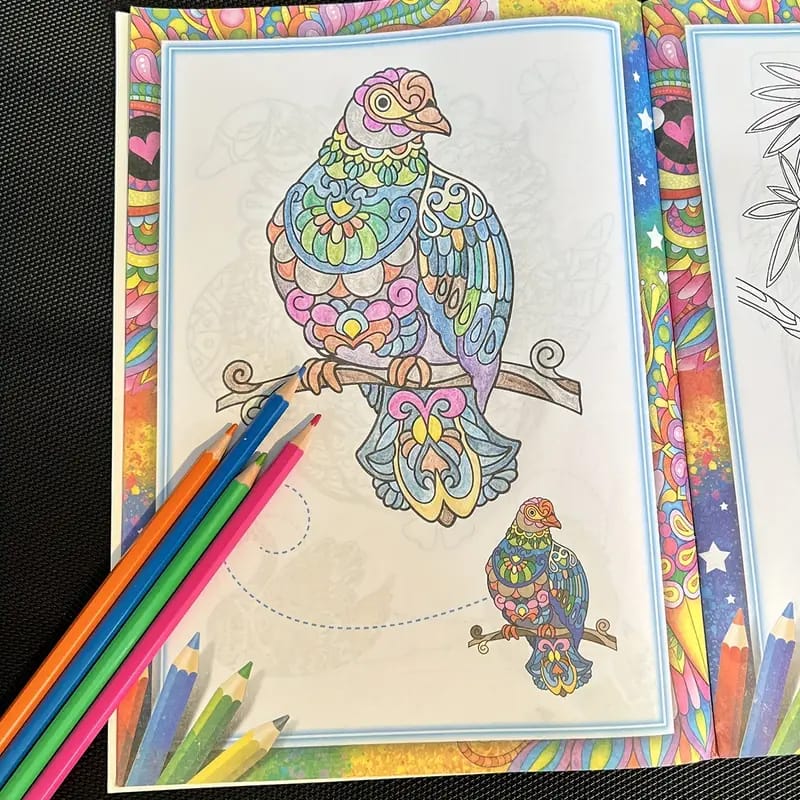 Birds - Coloring Book