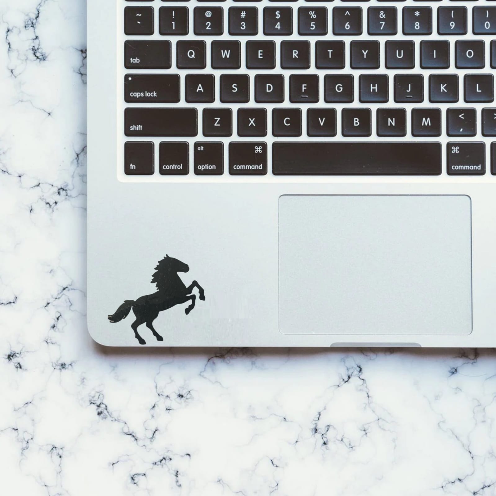 Horse Laptop - Decals