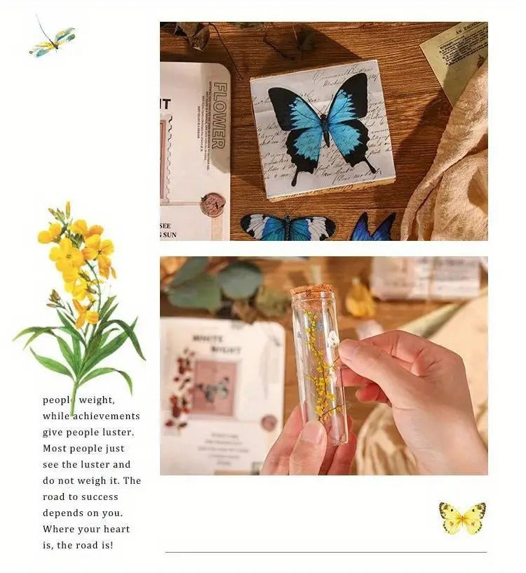 Bugs & Butterflies - Stickers