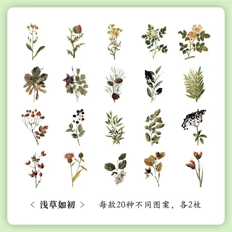 Flowers &amp; Foliage - Stickers