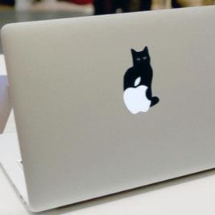 Black Cat Laptop - Decals