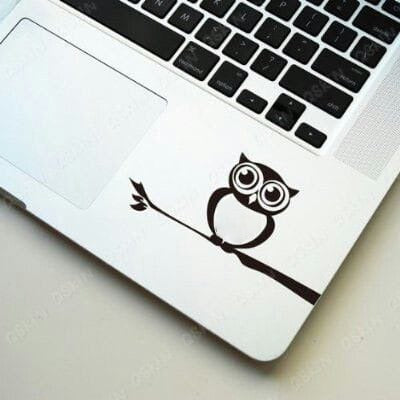 Cute Owl Laptop - Decals