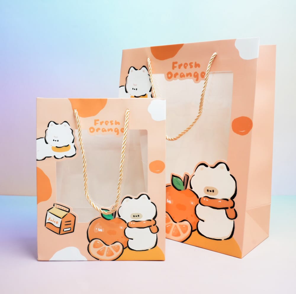 Fresh Orange Kawai Animal  - Gift Bag