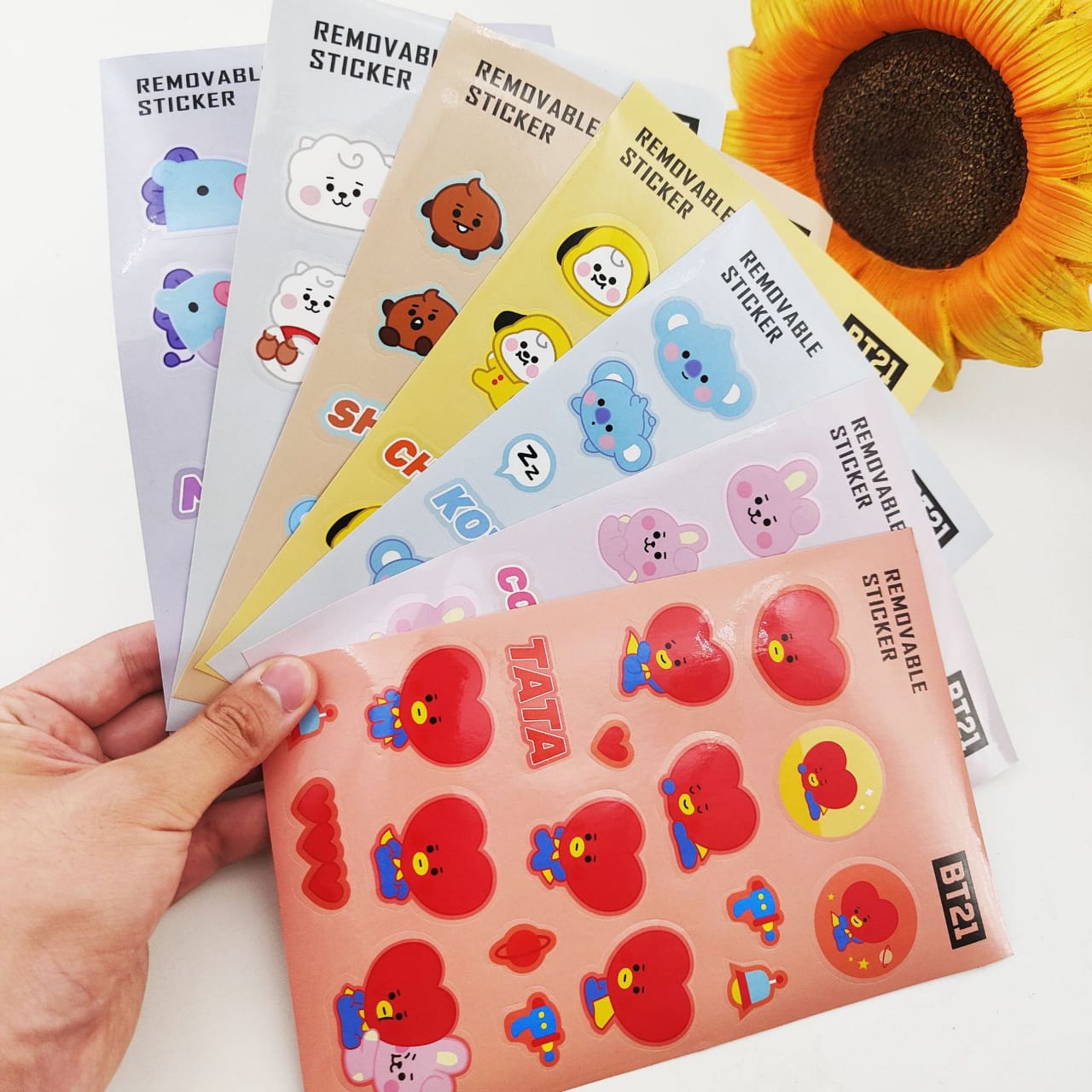 BT21 BTS Removeable Big Stickers