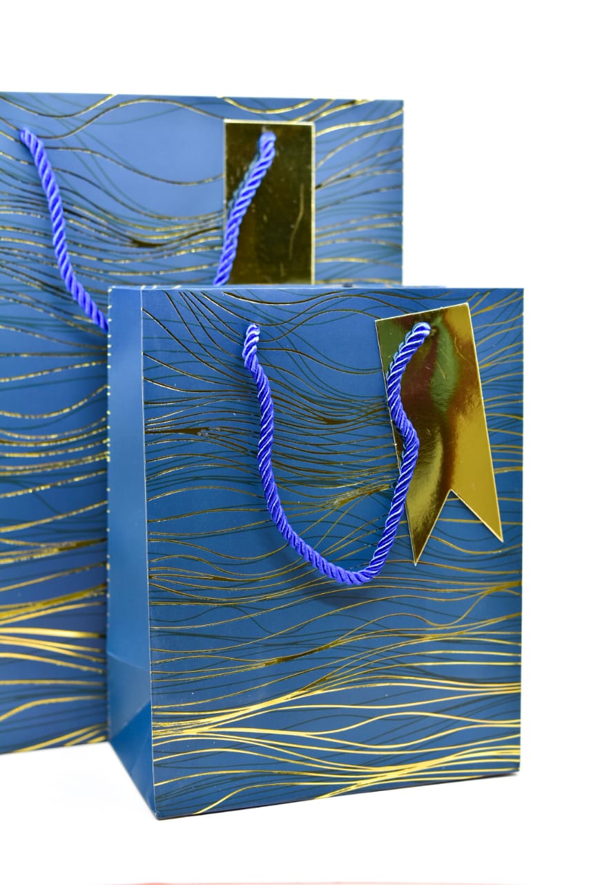 Blue Gold Foil Lines Gift Bag