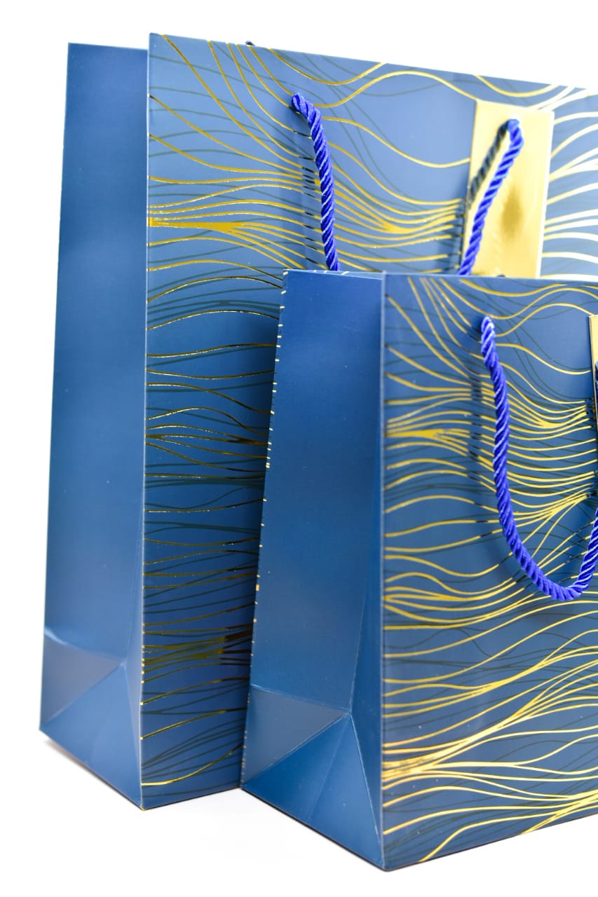 Blue Gold Foil Lines Gift Bag