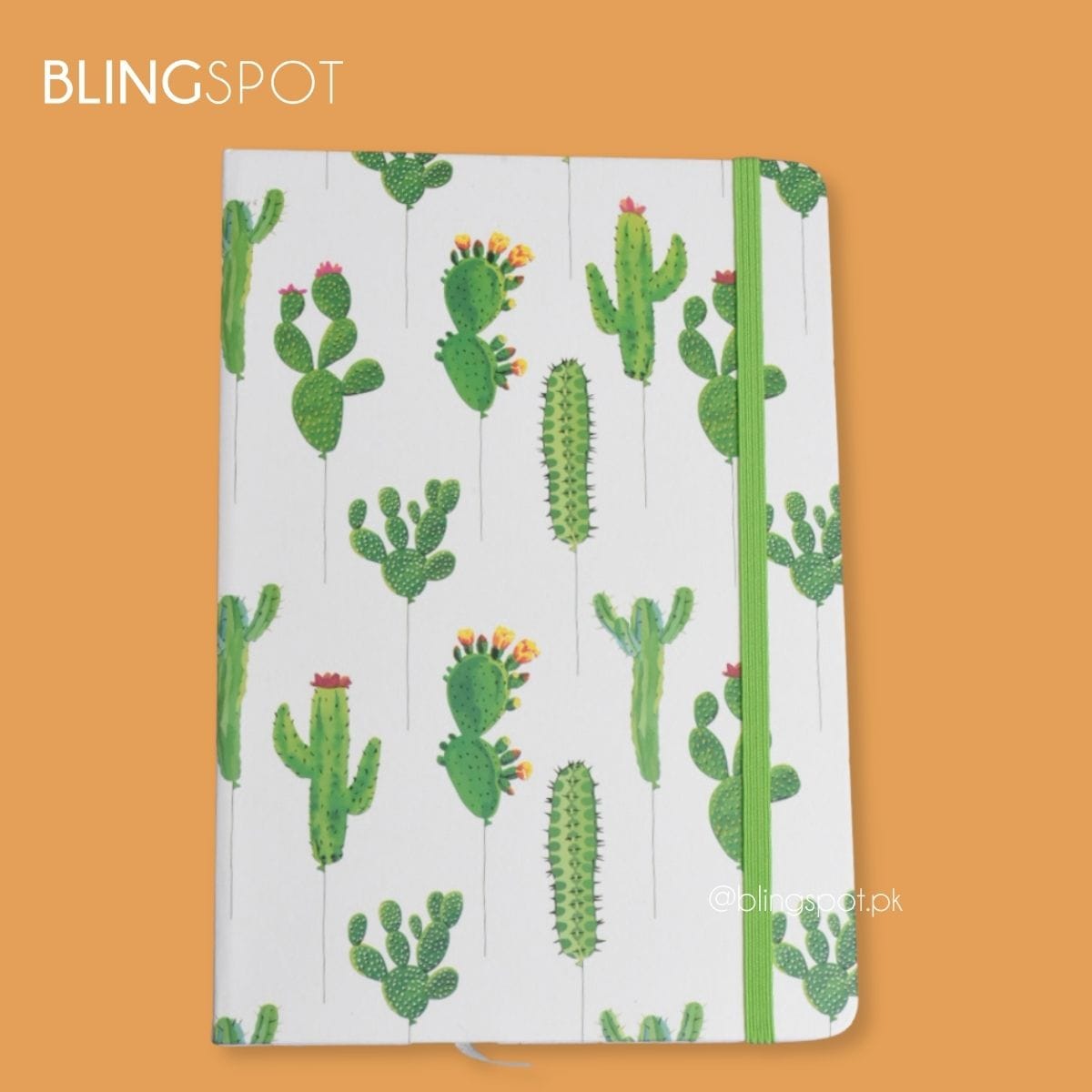 Cactus - Journal