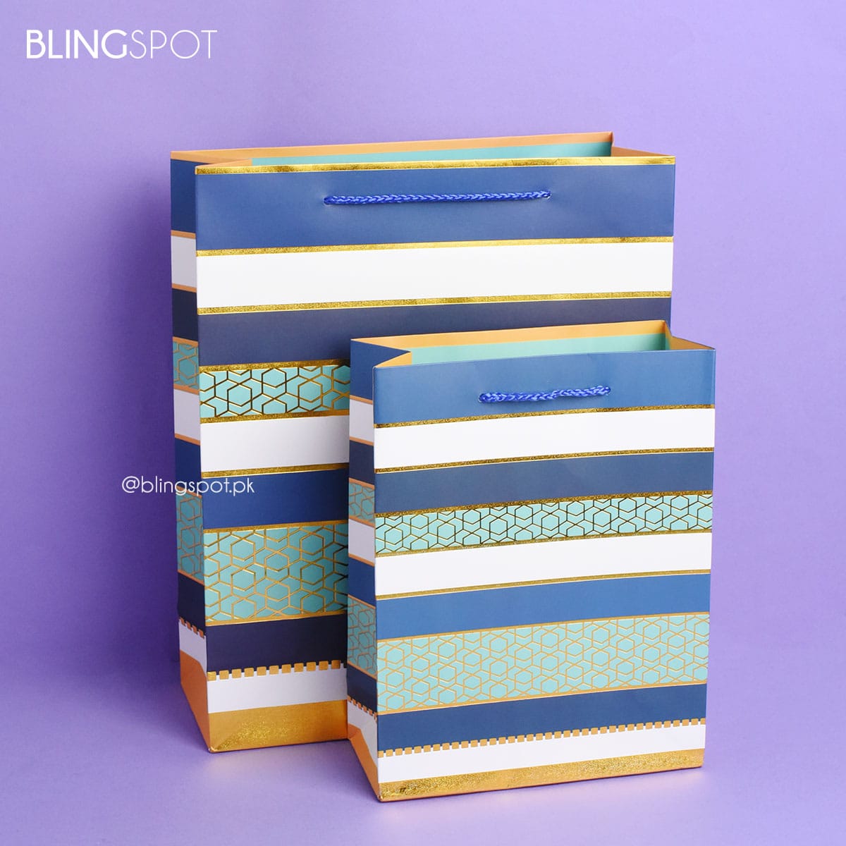 Monochrome &amp; Foil Stripes Style 6 - Gift Bag