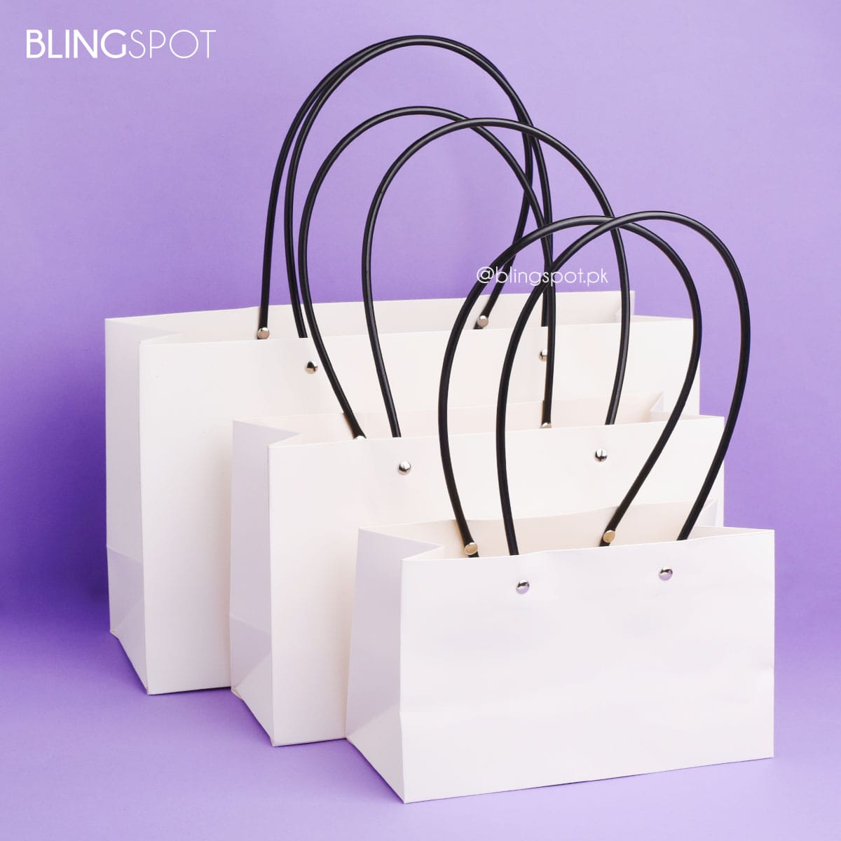 Basic White - Gift Bag / Hand Bag