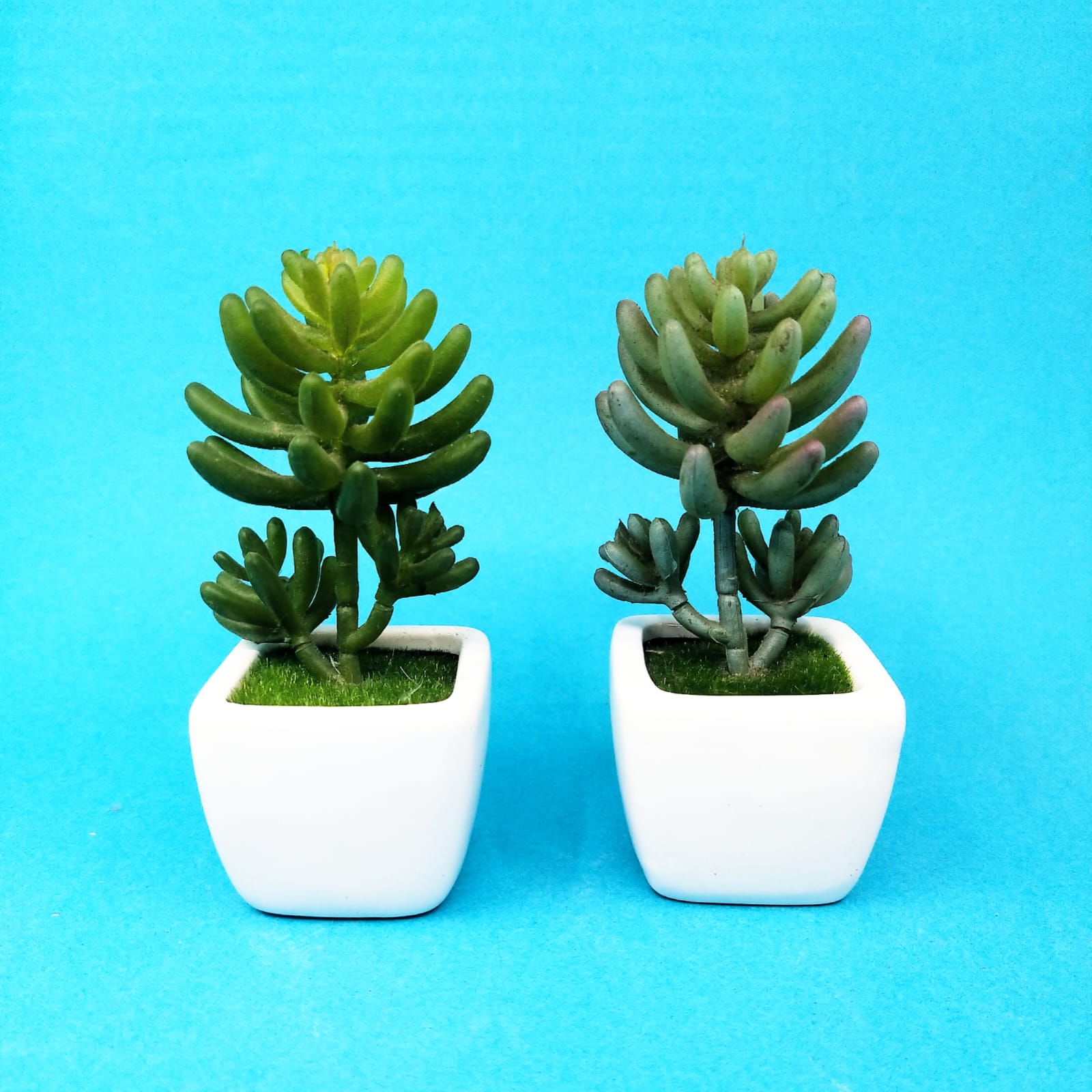 Ceramic Faux Plant - Style 9