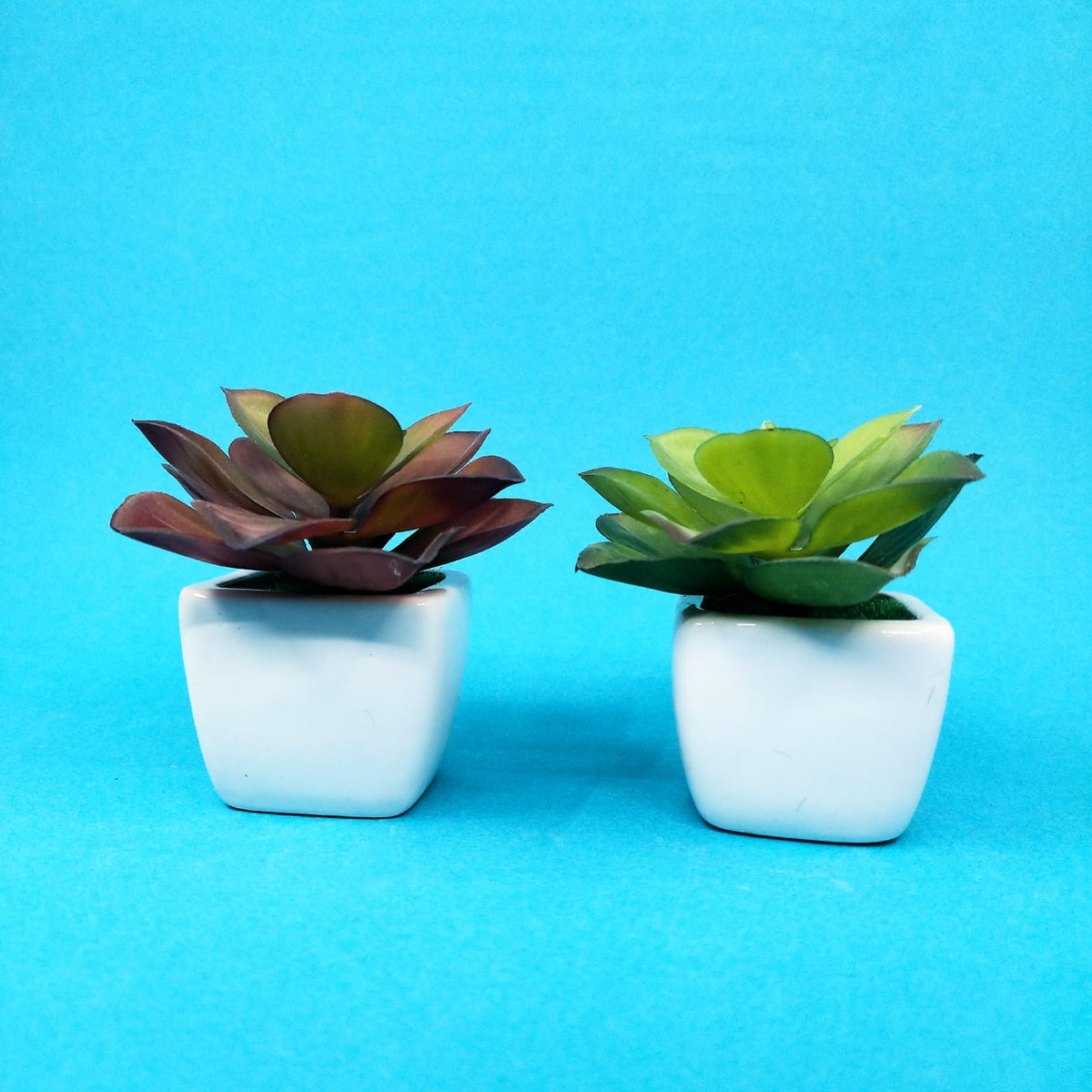 Ceramic Faux Plant - Style 8